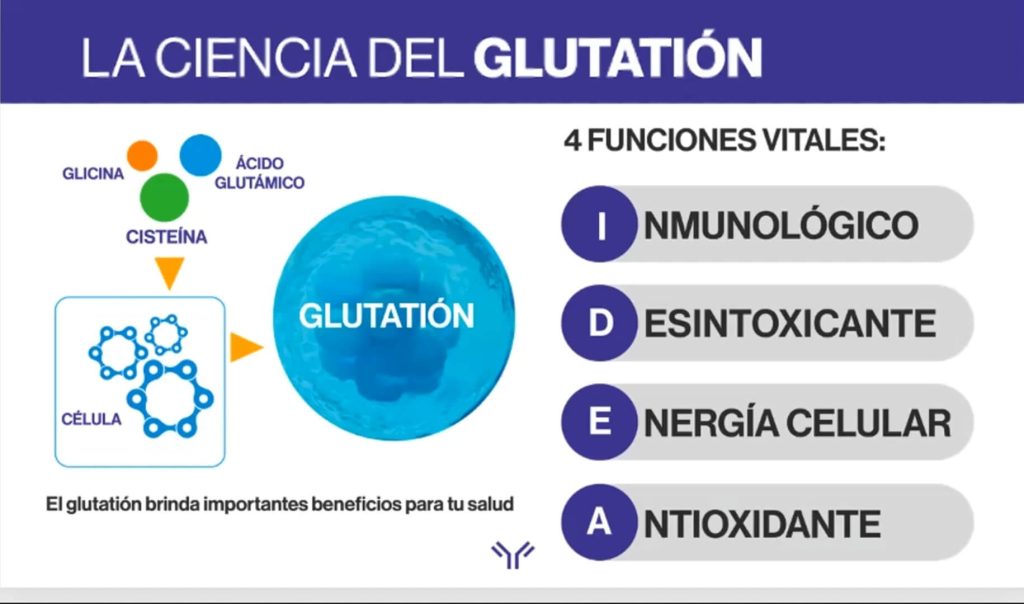 4 funciones de immunocal