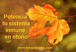 Potencia tu sistema inmune en otoño