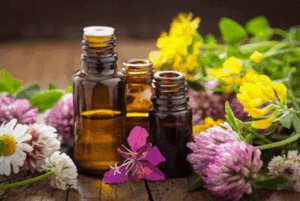 Cómo preparar flores de bach