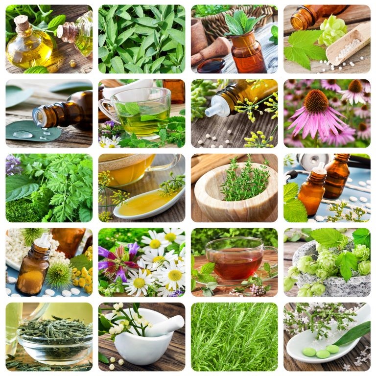salud natural y nutrición celular activa
